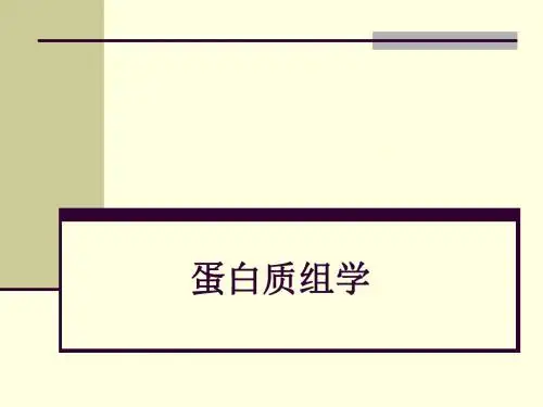 蛋白质组学(proteomics)