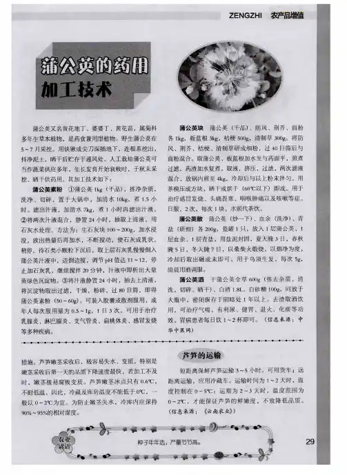 蒲公英的药用加工技术