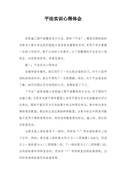 平法实训心得体会