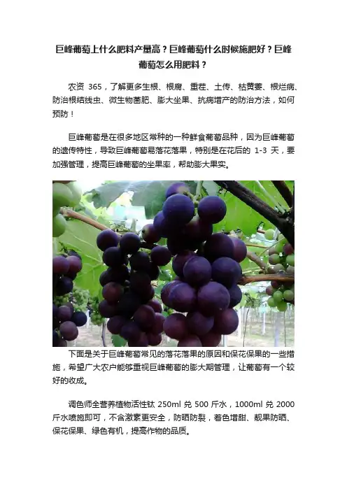 巨峰葡萄上什么肥料产量高？巨峰葡萄什么时候施肥好？巨峰葡萄怎么用肥料？