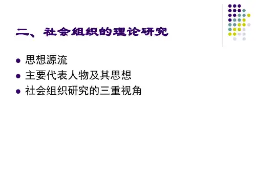 第二章 关于社会组织的理论研究