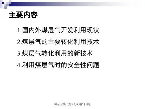 国内外煤层气的转化利用技术综述课件