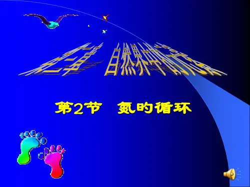 氮的循环完整课件