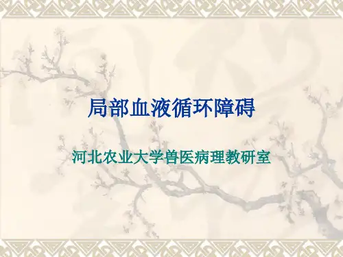 局部血液循环障碍 4