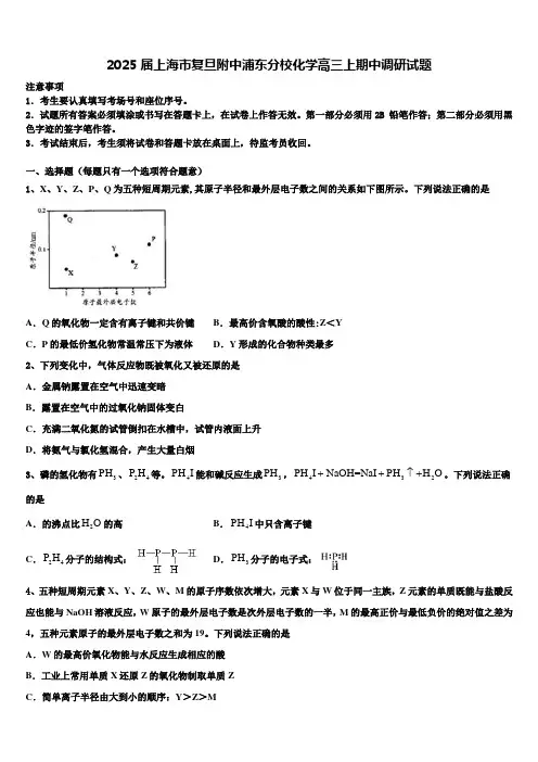2025届上海市复旦附中浦东分校化学高三上期中调研试题含解析