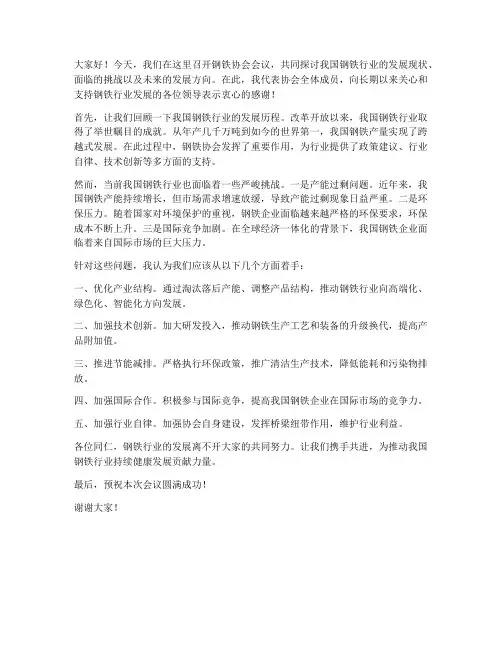 钢铁协会开会发言稿范文