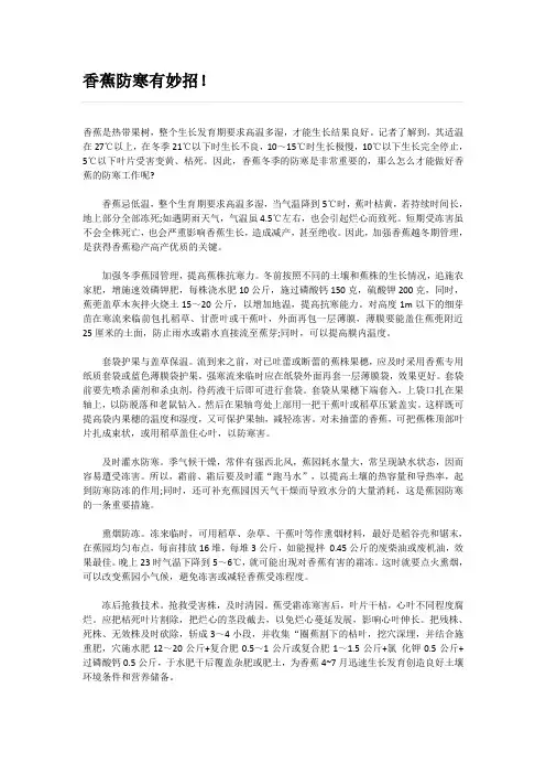 香蕉防寒有妙招!