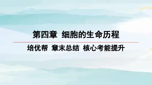 培优帮-章末总结-核心考能提升 (2)高中生物必修一浙科版