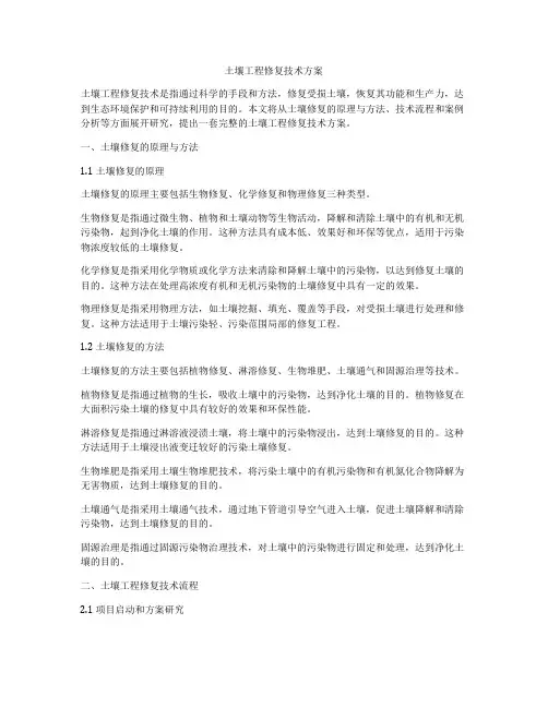 土壤工程修复技术方案
