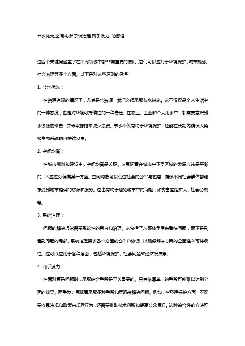 节水优先,空间均衡,系统治理,两手发力 的感悟