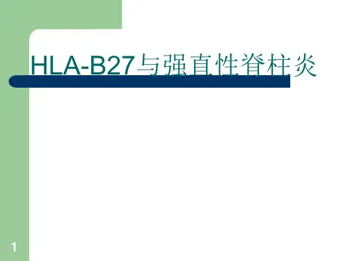 HLA-B27检测及其临床应用ppt课件