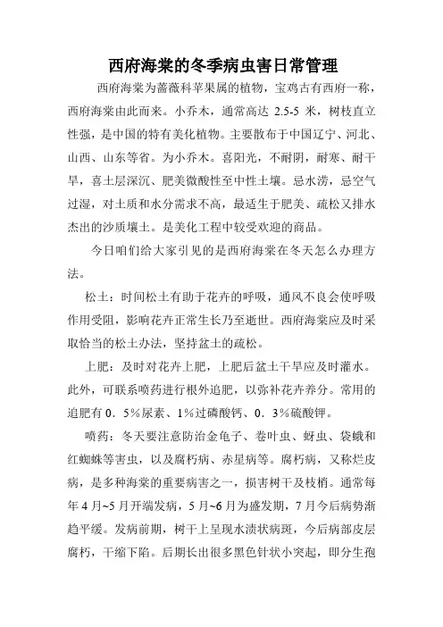 西府海棠的冬季病虫害日常管理