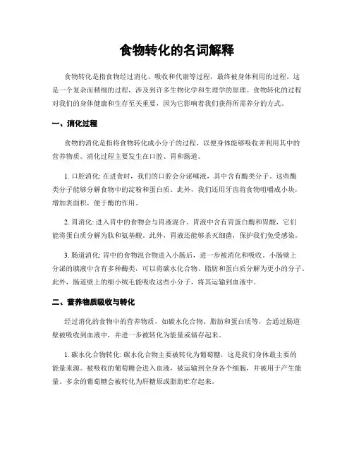 食物转化的名词解释