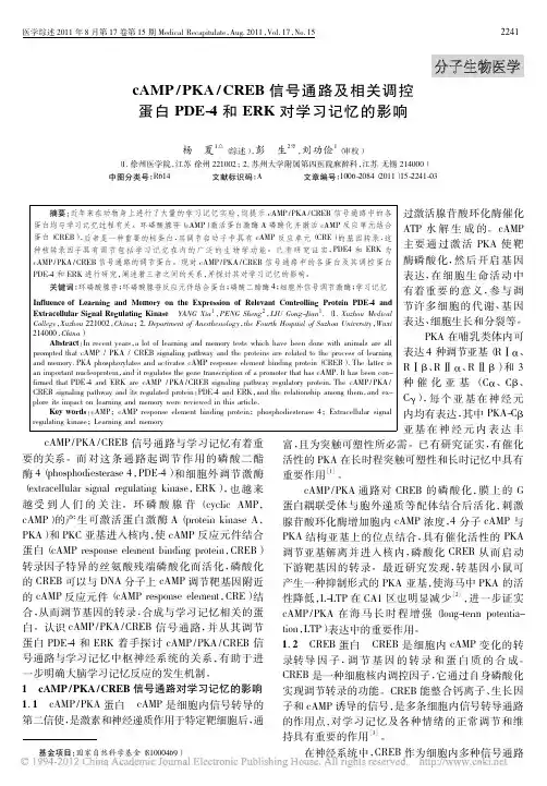 cAMP_PKA_CREB信号通路及相关调控蛋白PDE_4和ERK对学习记忆的影