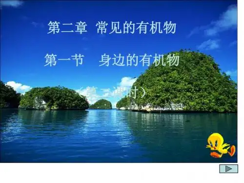 九年级科学身边的有机物2(教学课件201908)