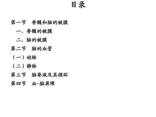 脊髓和脑的被膜、脑血管及脑脊液循环