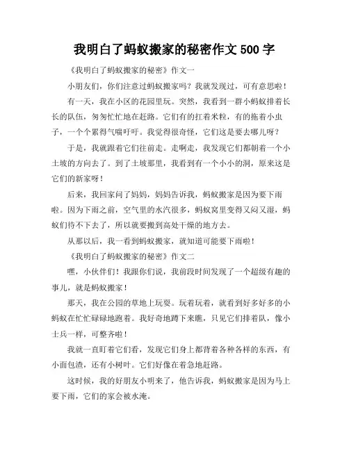 我明白了蚂蚁搬家的秘密作文500字