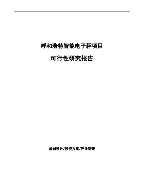 呼和浩特智能电子秤项目可行性研究报告