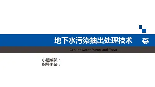 沼泽红假单胞菌的研究
