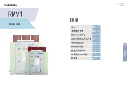 RMV1样本-2023.07版