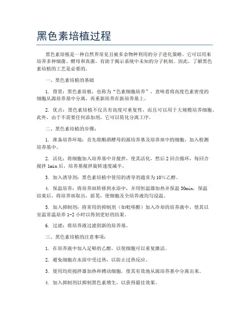 黑色素培植过程