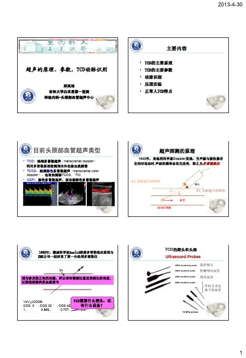 TCD、TCCD原理及各参数意义30