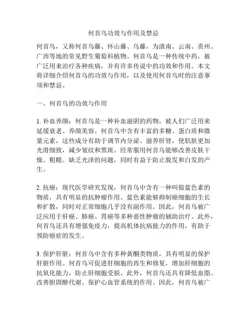 何首乌功效与作用及禁忌