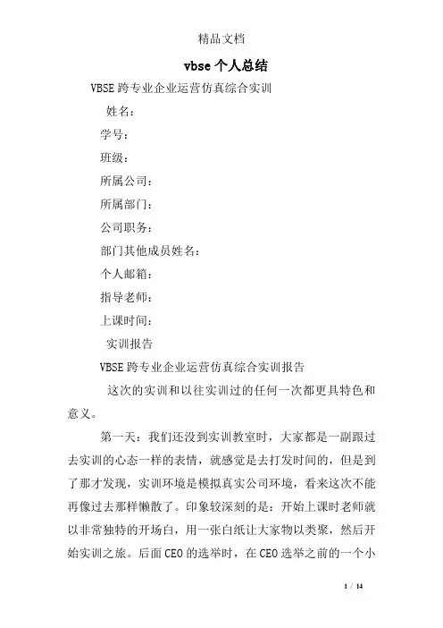 vbse个人总结