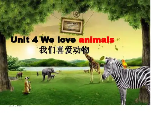 人教(PEP)三年级上册英语Unit4  We love animals课件
