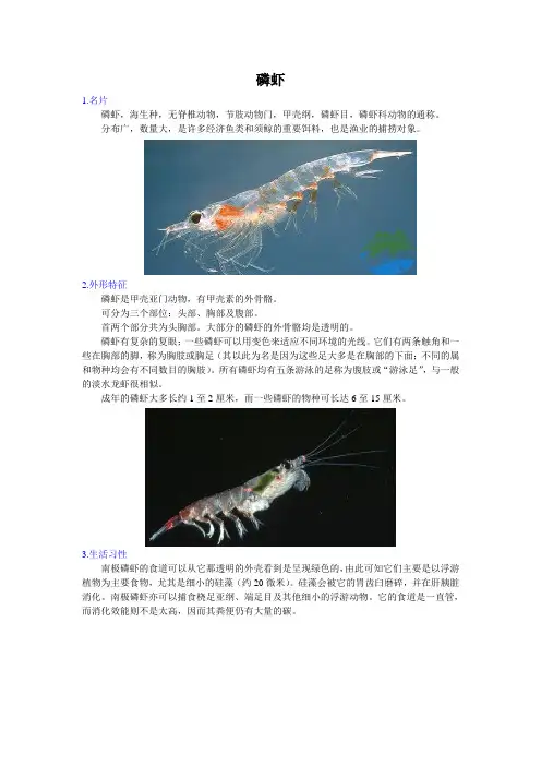 磷虾