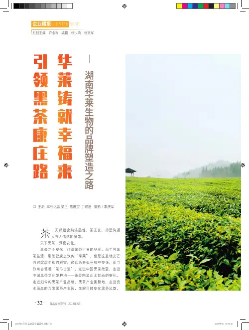 引领黑茶康庄路华莱铸就幸福来——湖南华莱生物的品牌塑造之路