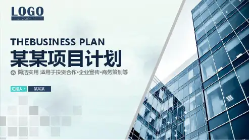 【新】网络直播项目计划书ppt