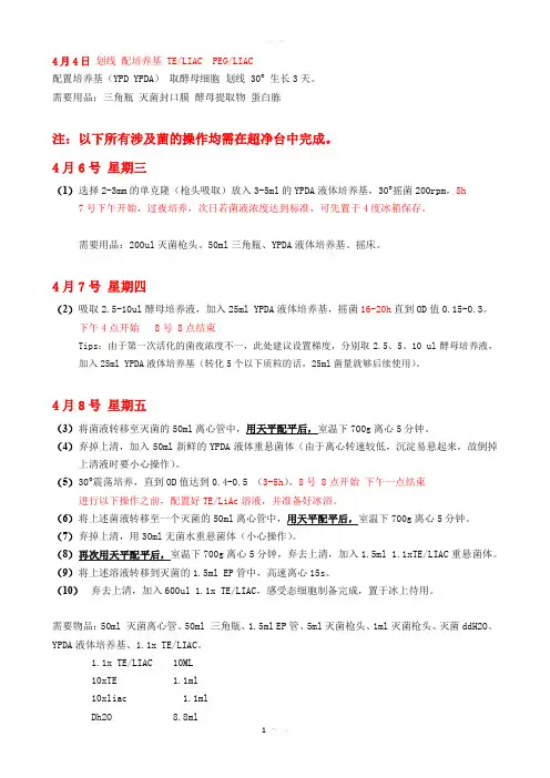 酵母双杂交试验流程