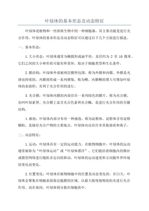 叶绿体的基本形态及动态特征