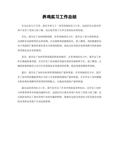 养鸡实习工作总结
