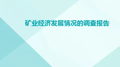 矿业经济发展情况的调查报告