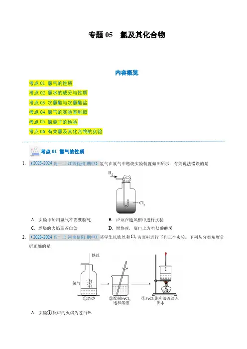 专题05 氯及其化合物(学生版) 备战2024-2025学年高一化学上学期期中真题分类汇编(新高考)