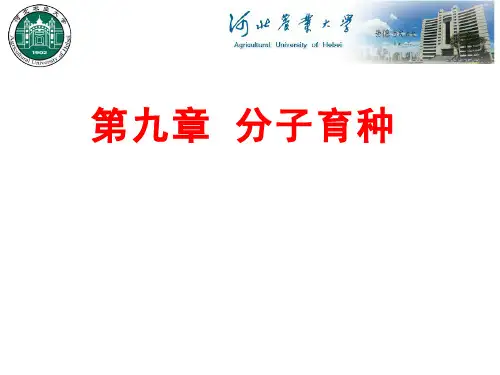 园艺植物育种学(10.1)--分子育种