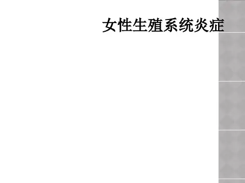 女性生殖系统炎症
