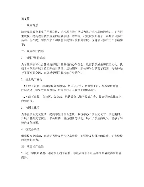 学校项目推广总结报告范文(3篇)