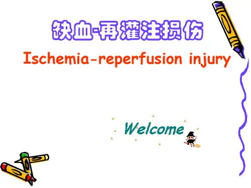 缺血再灌注损伤Ischemiareperfusioninjury