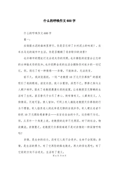 什么的呼唤作文600字