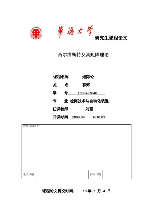 矩阵论课程论文~