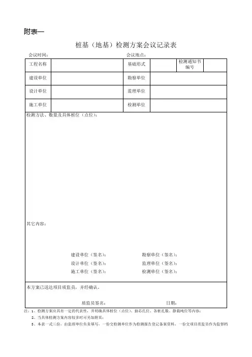 桩基检测方案会议纪要