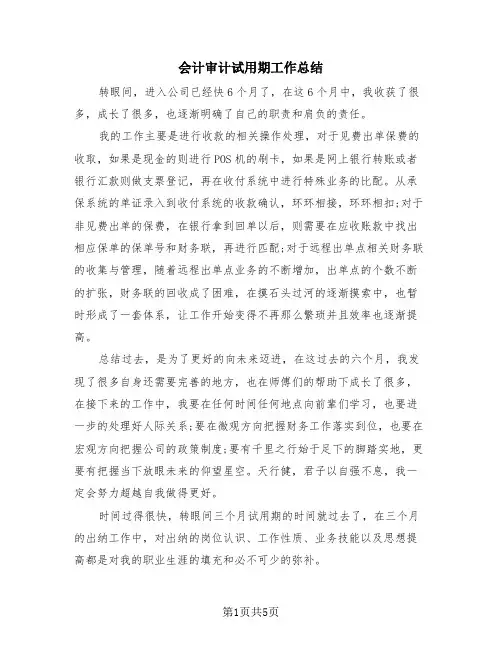 会计审计试用期工作总结(4篇)