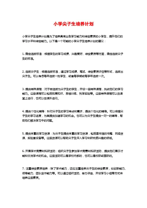 小学尖子生培养计划