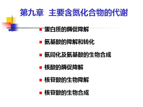 主要含氮化合物的代谢