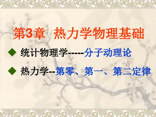 大学物理简明教程
