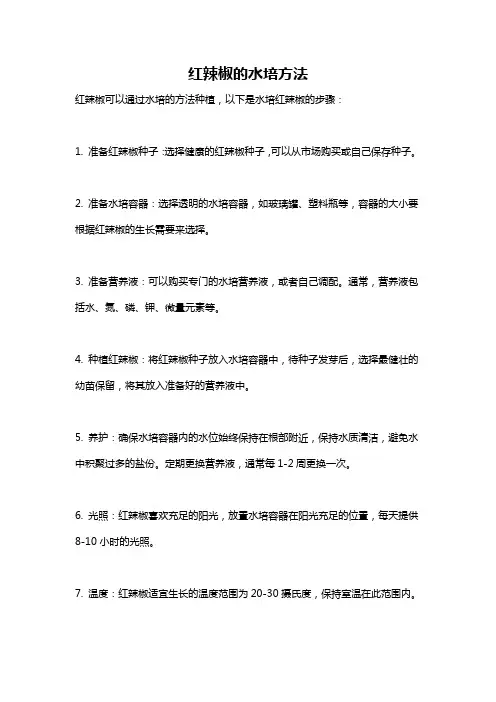 红辣椒的水培方法