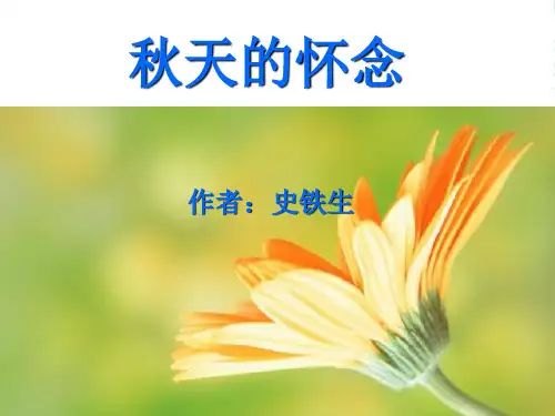 人教七年级语文上册 2秋天的怀念 课件(共15张PPT)